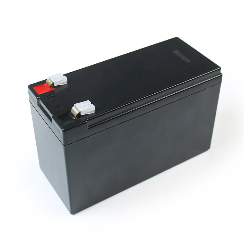 LEI SHI Aufzugsbatterie DJW12-4.5 (12V4.5AH), DJW12-7.0
