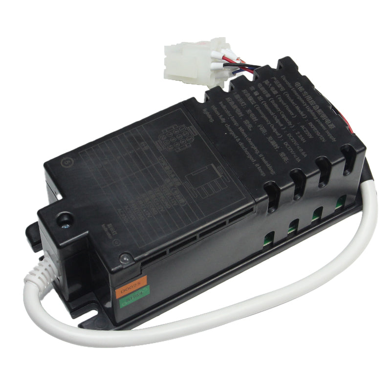 Deling Notlichtnetzteil RKP220/12V