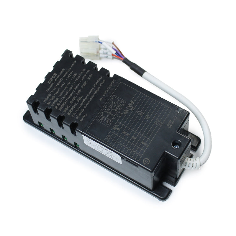 Deling Notlichtnetzteil RKP220/12V-MASTER (OM5232D003)