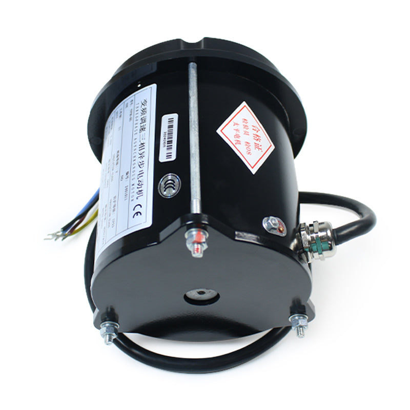 Huzhou Taiping Weite Motor YVP90-6B1
