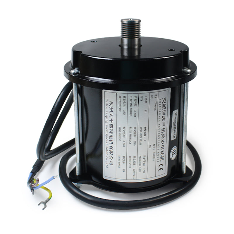 Huzhou Taiping Weite Motor YVP90-6B1