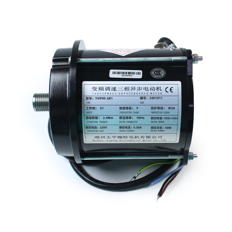 Huzhou Taiping Weite Motor YVP90-6B1